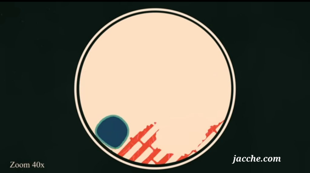 Plastic Degrading Microbes