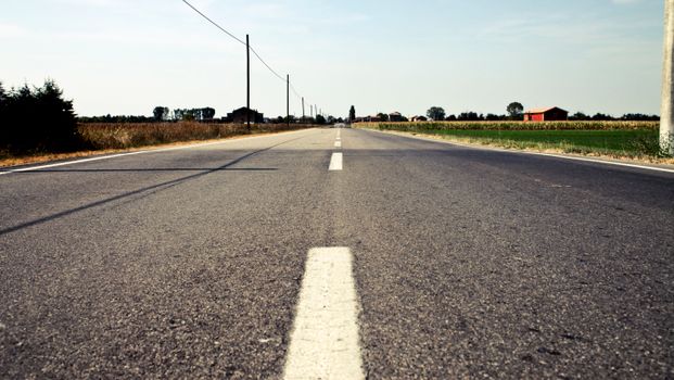 Strada e velocità: 9 metri al secondo, 1 km al secondo secondo KFC e Canvas – una metafora tra cultura e consumo