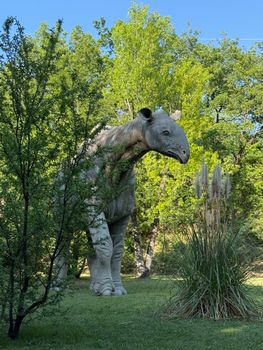 From Prehistoric Giants to Digital Bids: A Triceratops Enters the Online Auction Arena