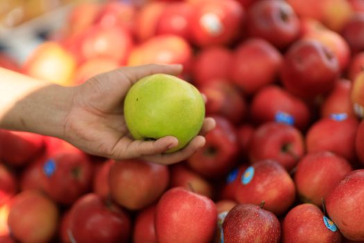 Beyond the Hype: Apple’s Secret Pipeline Holds Over a Dozen Products for 2026!