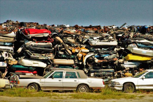From Scrap Heap to Supercar: How One YouTuber Doubled a Mustang’s Value in a Week