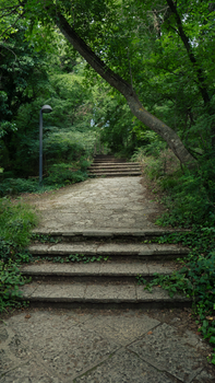 IT Path Guide 2026