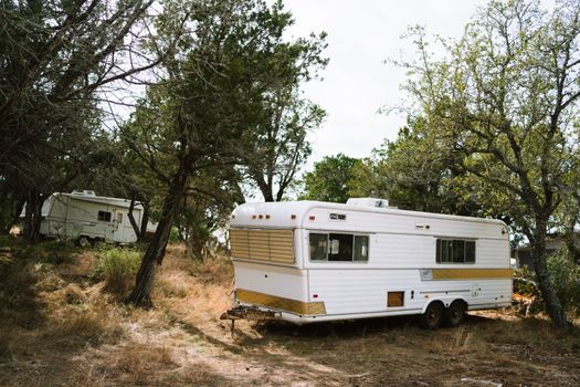 Wildwood Teaser Trailer Drops: A Glimpse into the Enchanted Forest’s Dark Secret