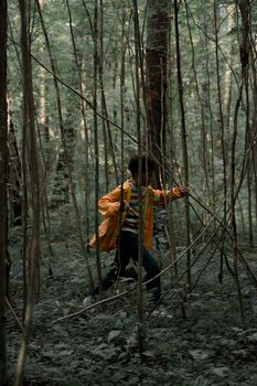 Wildwood Official Teaser Trailer Released – A Glimpse into a Dark Fairy‑Tale Adventure