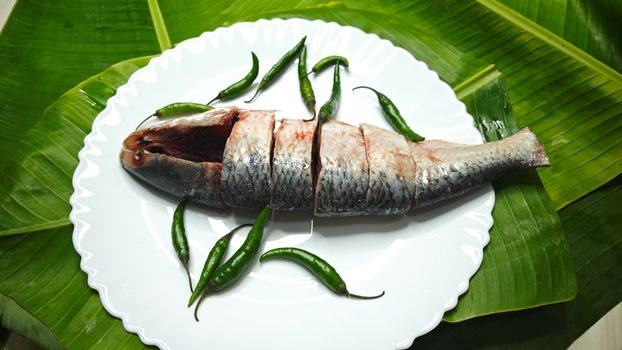 বিলি ইলিশের “হিট मी হার্ড অ্যান্ড সফট: দ্য টুয়ার” ট্রেলার রিলিজ: ভিজ্যুয়াল সফরের নতুন अध्यায়