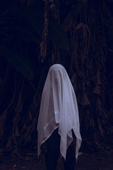 বিরাল হচ্ছে ‘HAUNTED BY PHIL FOREVER?’ – নিল শিনের ডেইলি নিউজ হেডলাইন্সে ফিল কোলিন্সের ভূতের গল্প