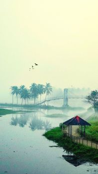 অক্টোবরে আসছে: স্থানীয় সরকার নির্বাচনে বড় পরিবর্তন ও Bangladesh‑wide חשיבות