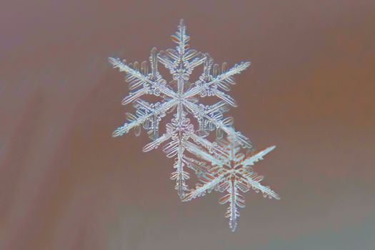 Snowflake শেয়ার価格ে রেকর্ড উঠে: Amazon সংজ্ঞাপিত স nuages ডিলের পর ২০২০以来最高 উछোতি