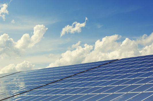 Climate Tech Solutions Gain Momentum Globally