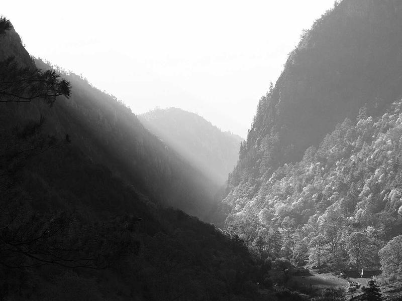 Windows 11 24H2 ISO Updates